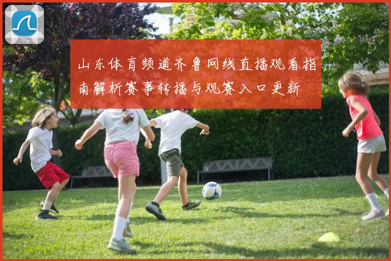 山东体育频道齐鲁网线直播观看指南解析赛事转播与观赛入口更新