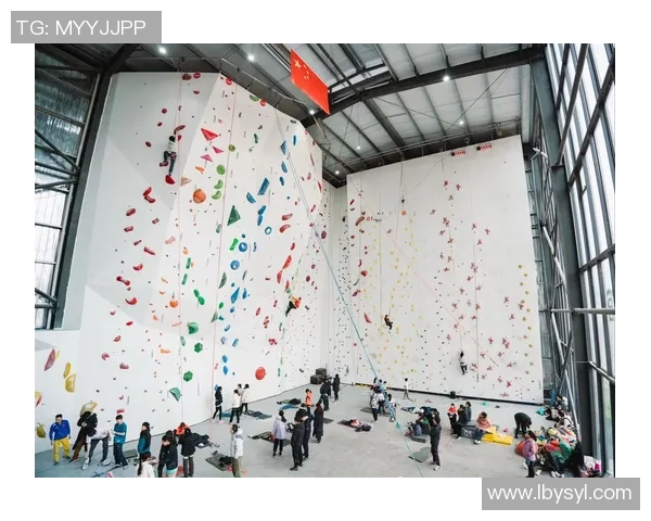 攀岩深度探索杭州攀岩队的训练节奏与团队精神