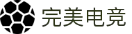 完美电竞•(中国)电子竞技-Perfect Esports"